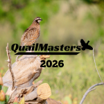 QuailMasters 2026 - logo